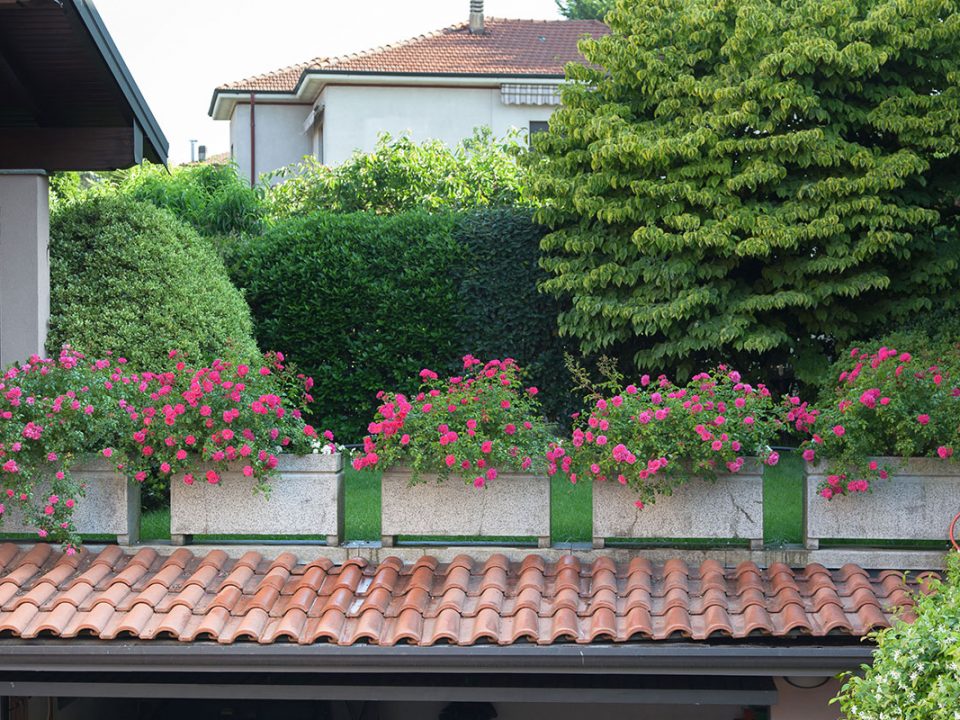 giardini pensili terrazze